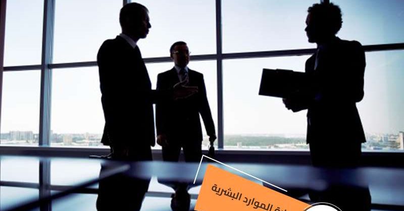 دراسة تخصص إدارة الموارد البشرية HR في تركيا 2023